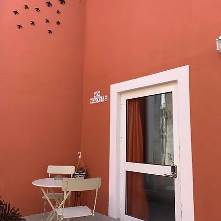 Dos Avós Figueira da Foz